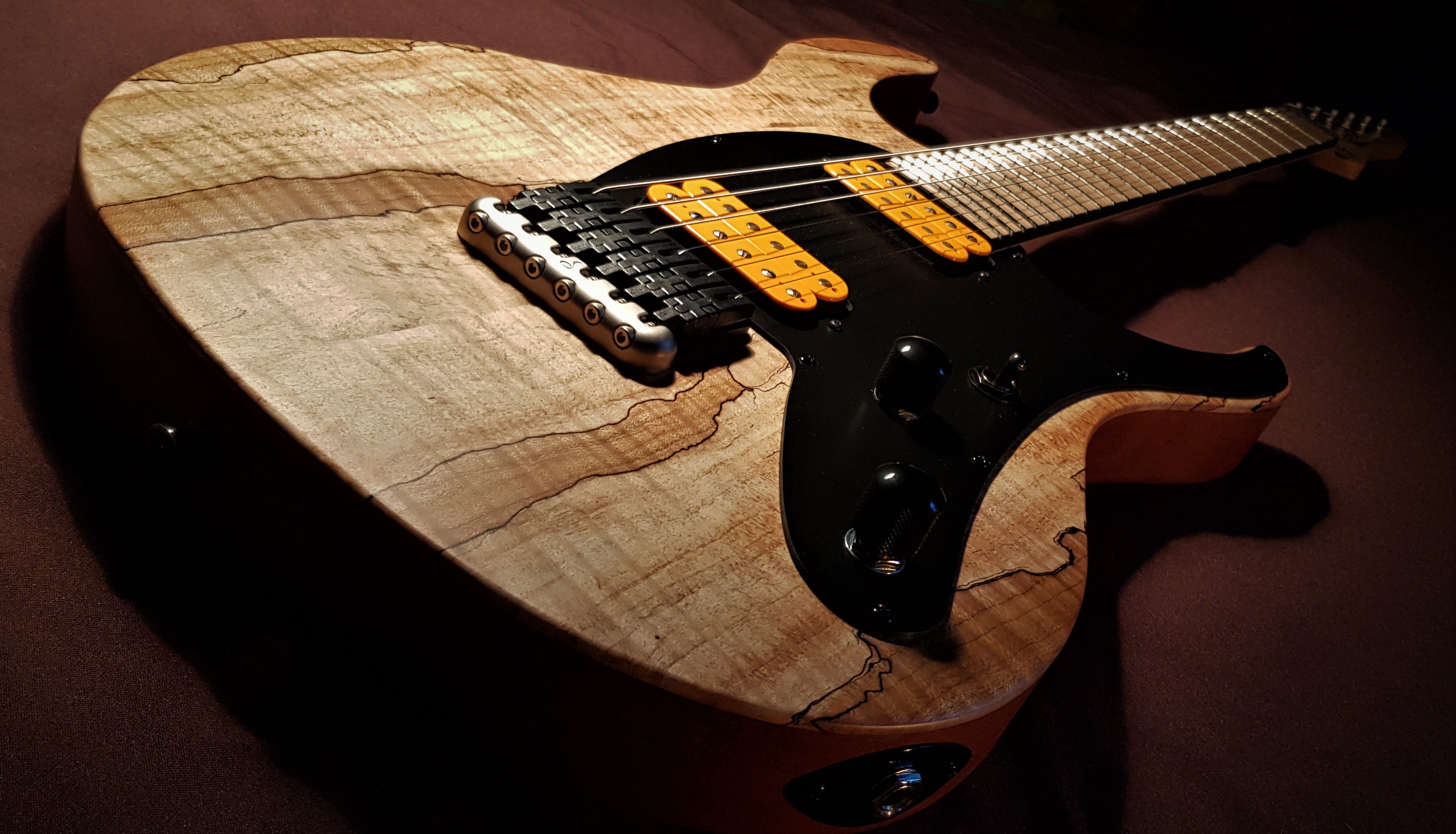 von-stein-guitars-avior